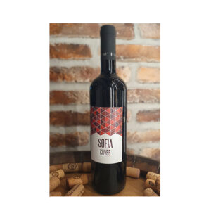 Braća Rajković Sofia Cuve